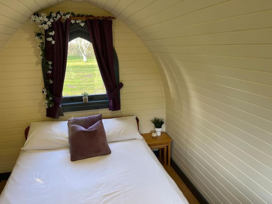 Belle Vista Glamping & Camping York Bagian luar foto