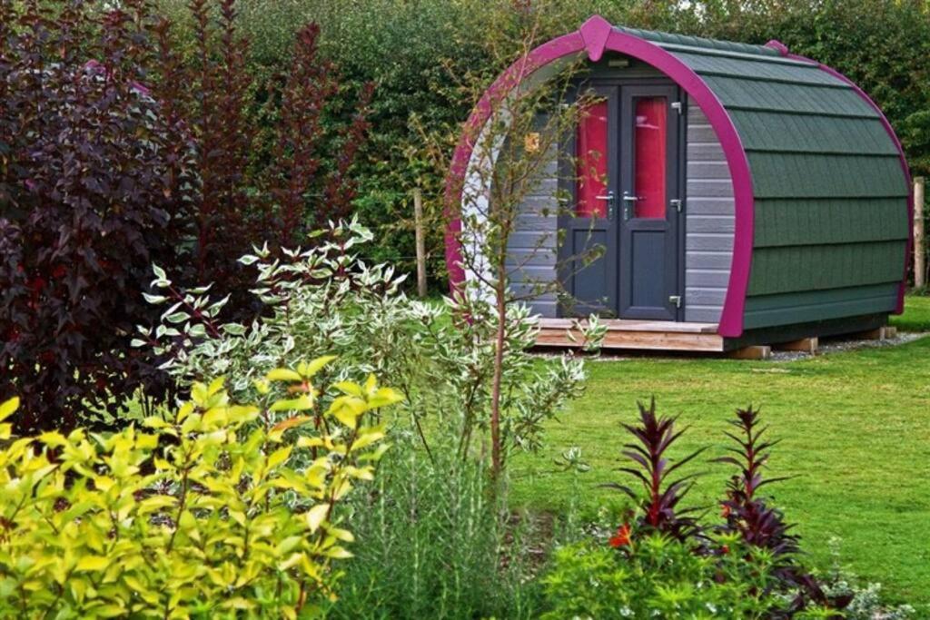 Belle Vista Glamping & Camping York Bagian luar foto