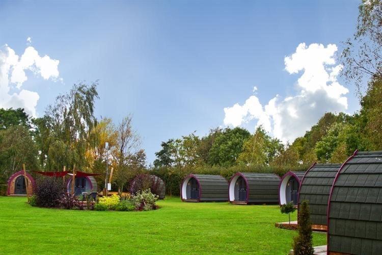 Belle Vista Glamping & Camping York Bagian luar foto